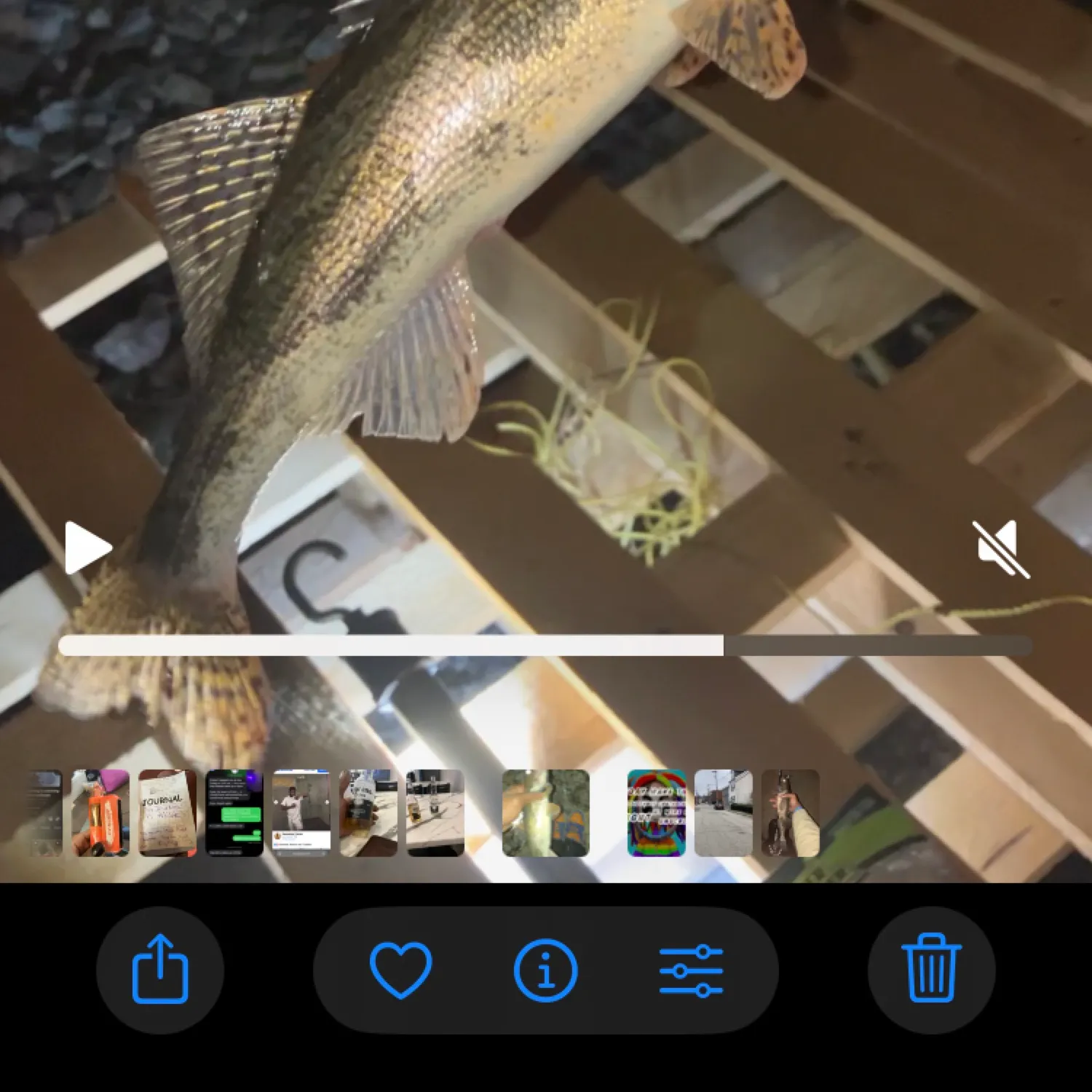 recently logged catches