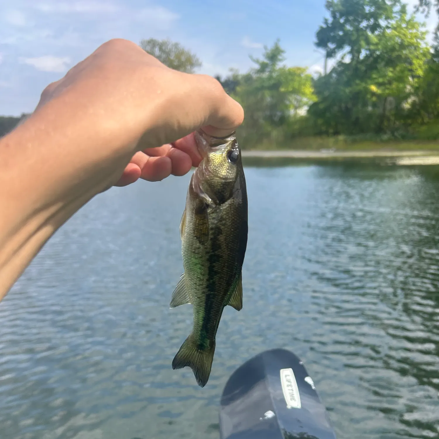 Fish caught on Fishbrain