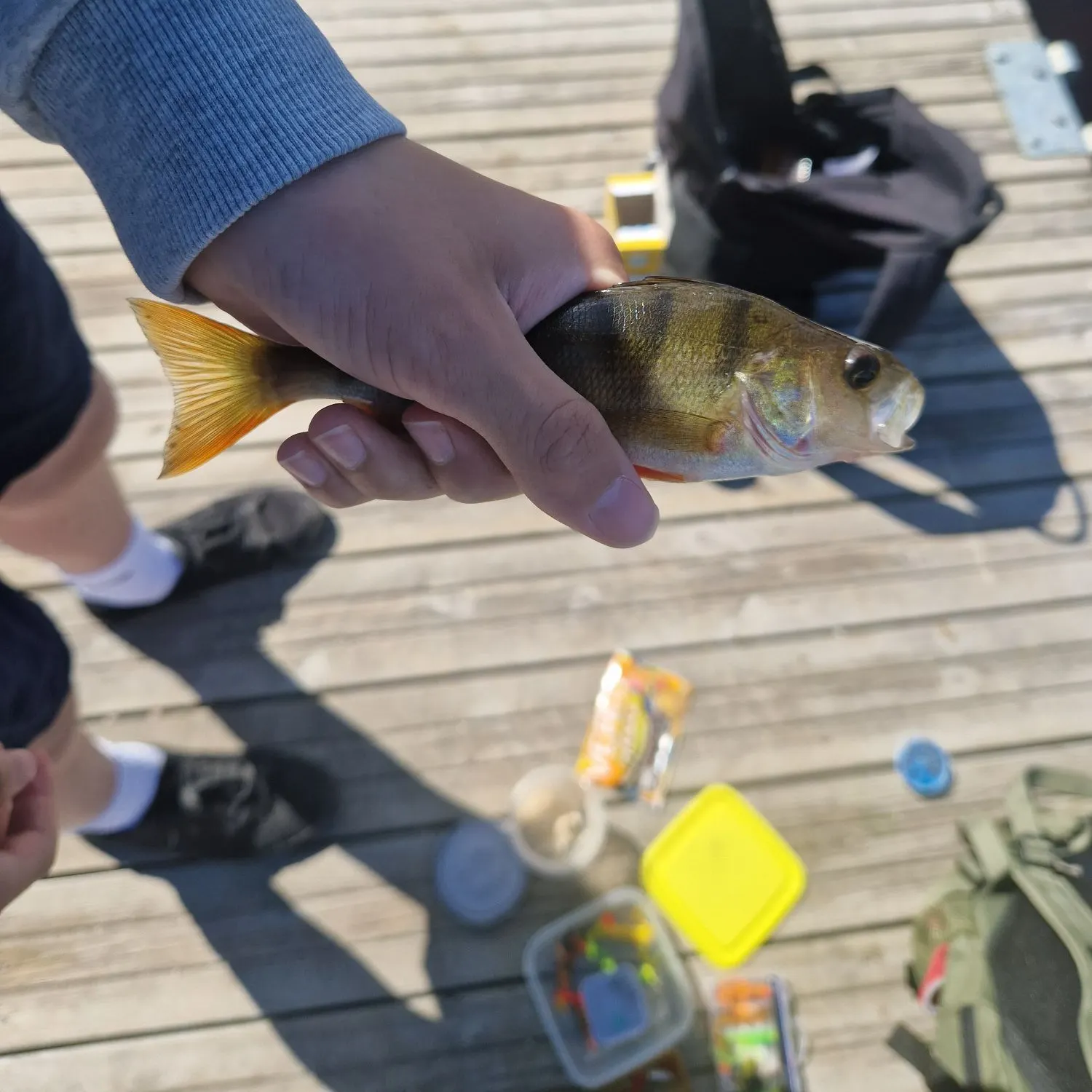 catch