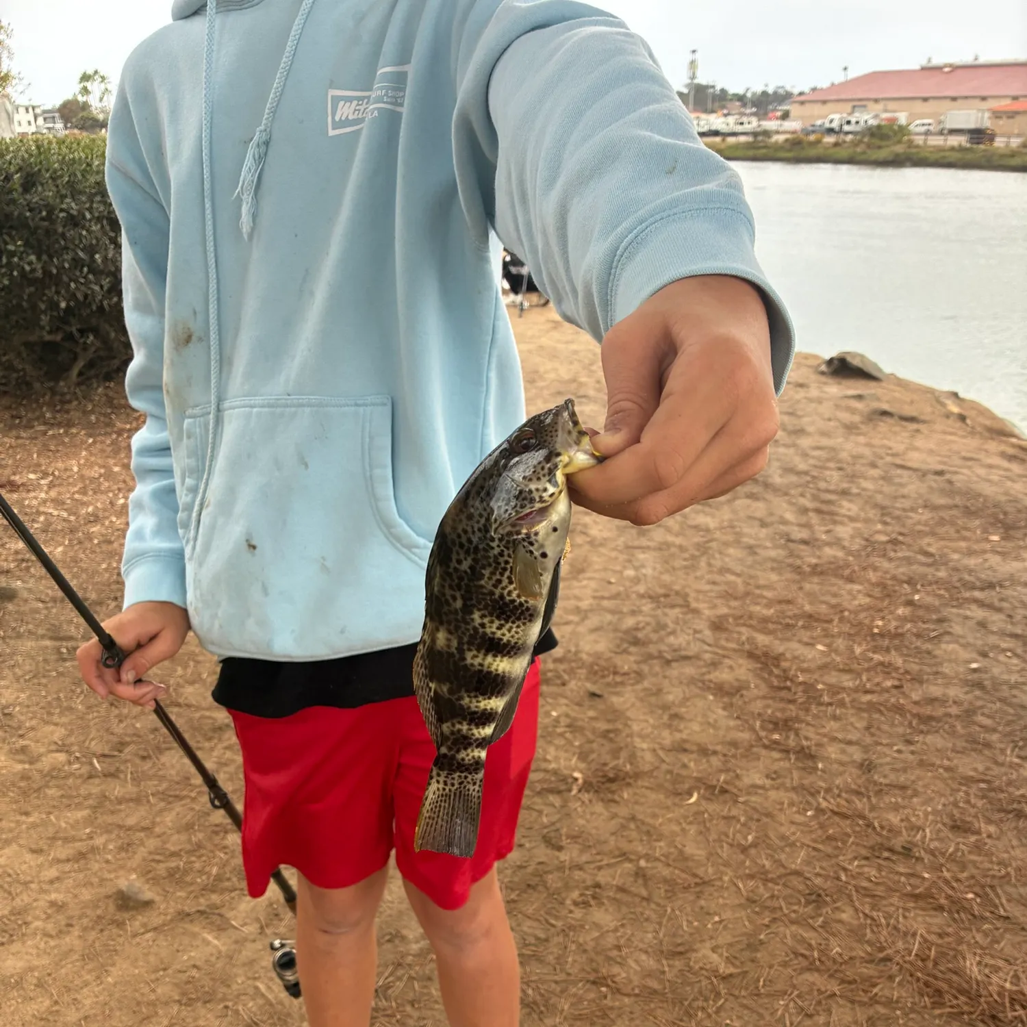 catch