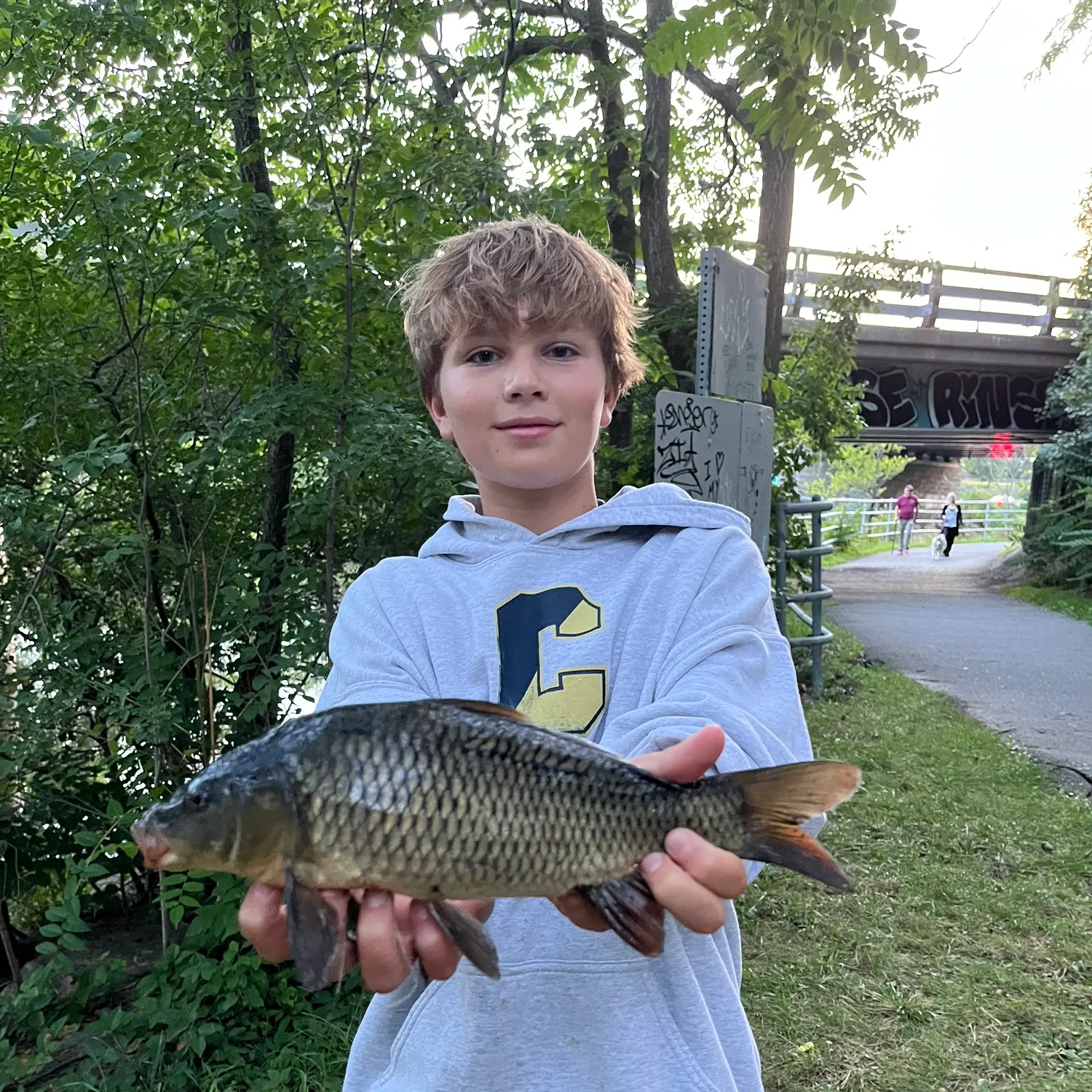 Common carp caught on Fishbrain