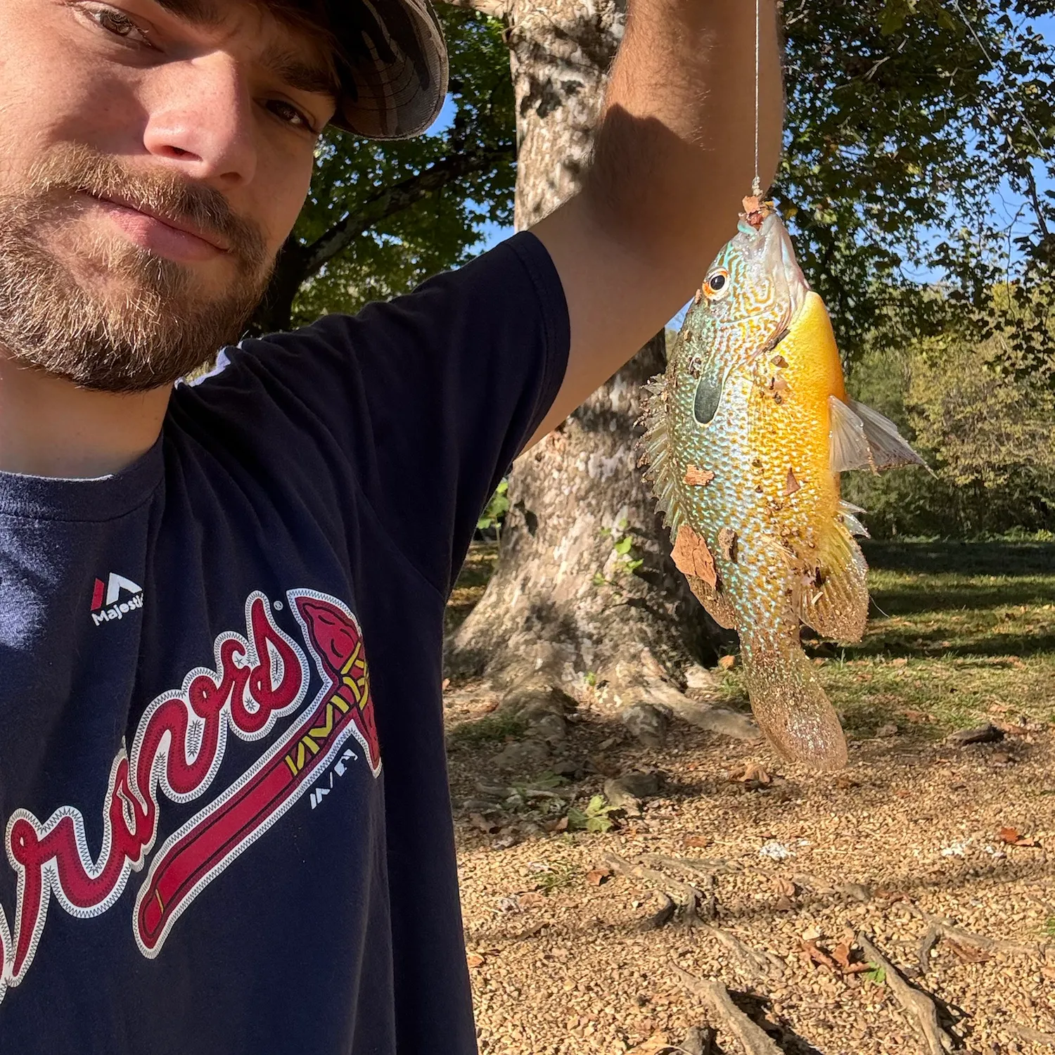 Longear sunfish caught on Fishbrain