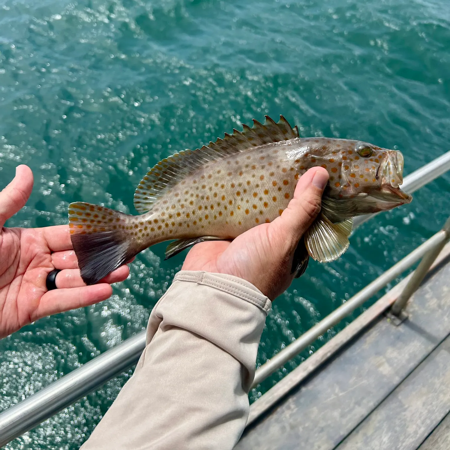 catch
