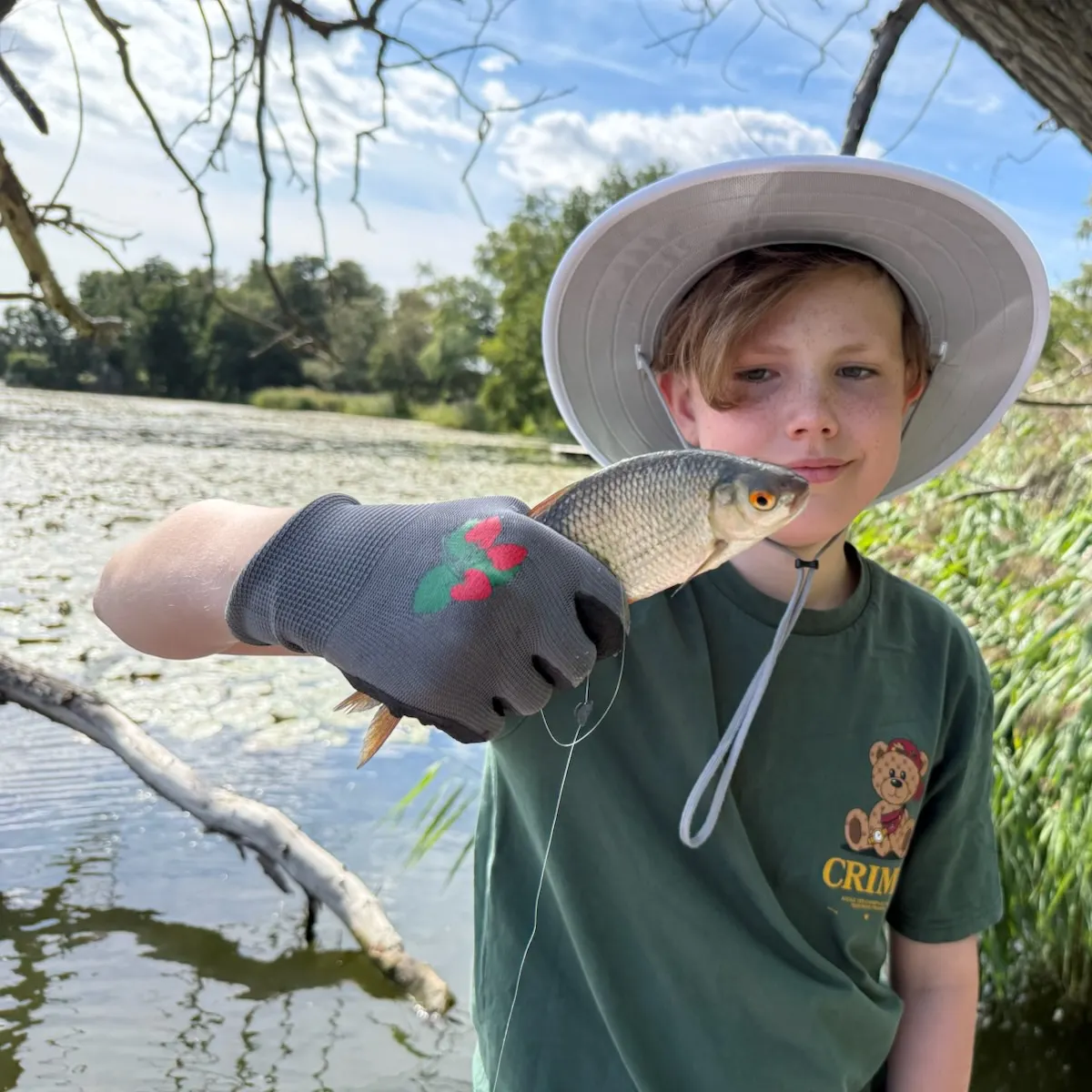 Common roach caught on Fishbrain