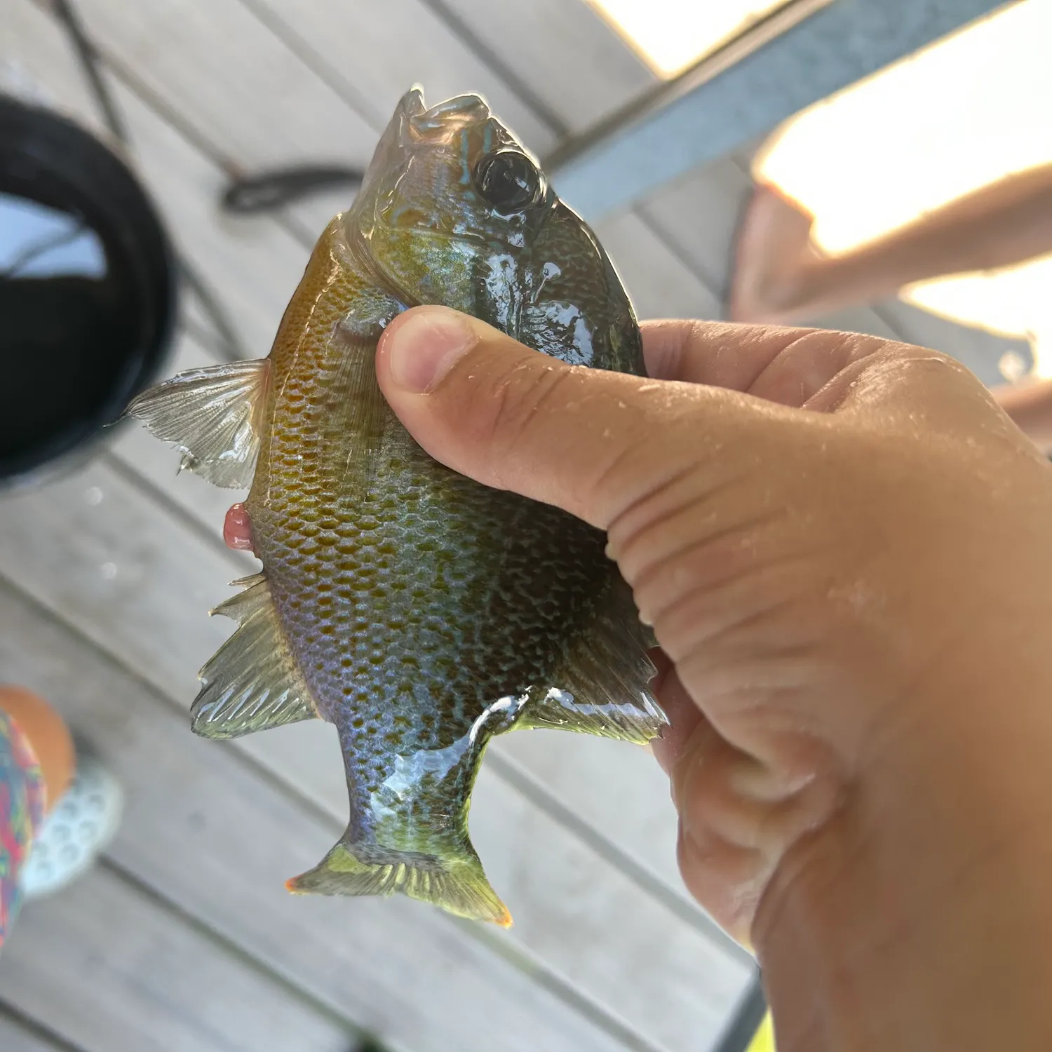 catch