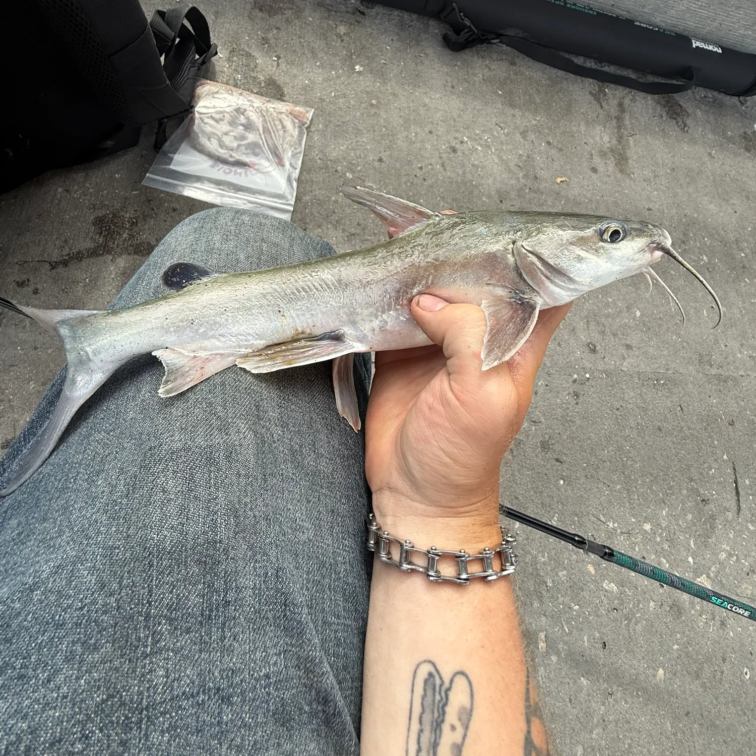 catch
