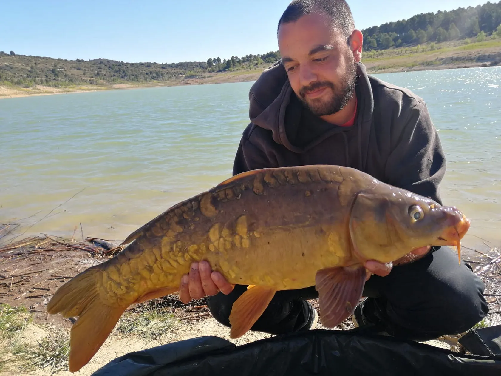 Post image from aperez8411