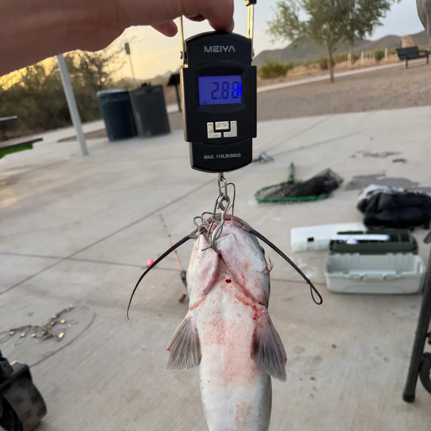 catch