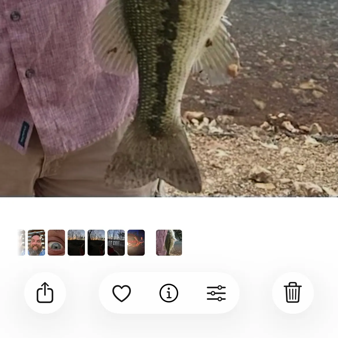 recently logged catches