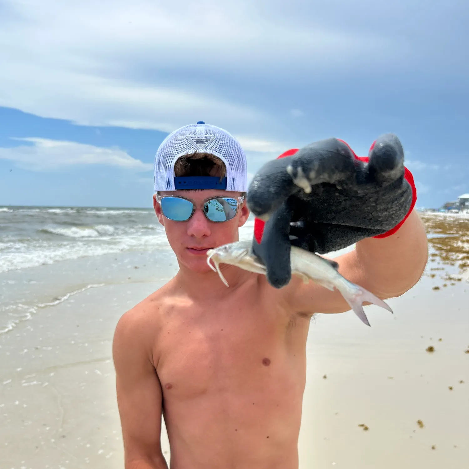 The most recent Coco sea catfish catches on Fishbrain