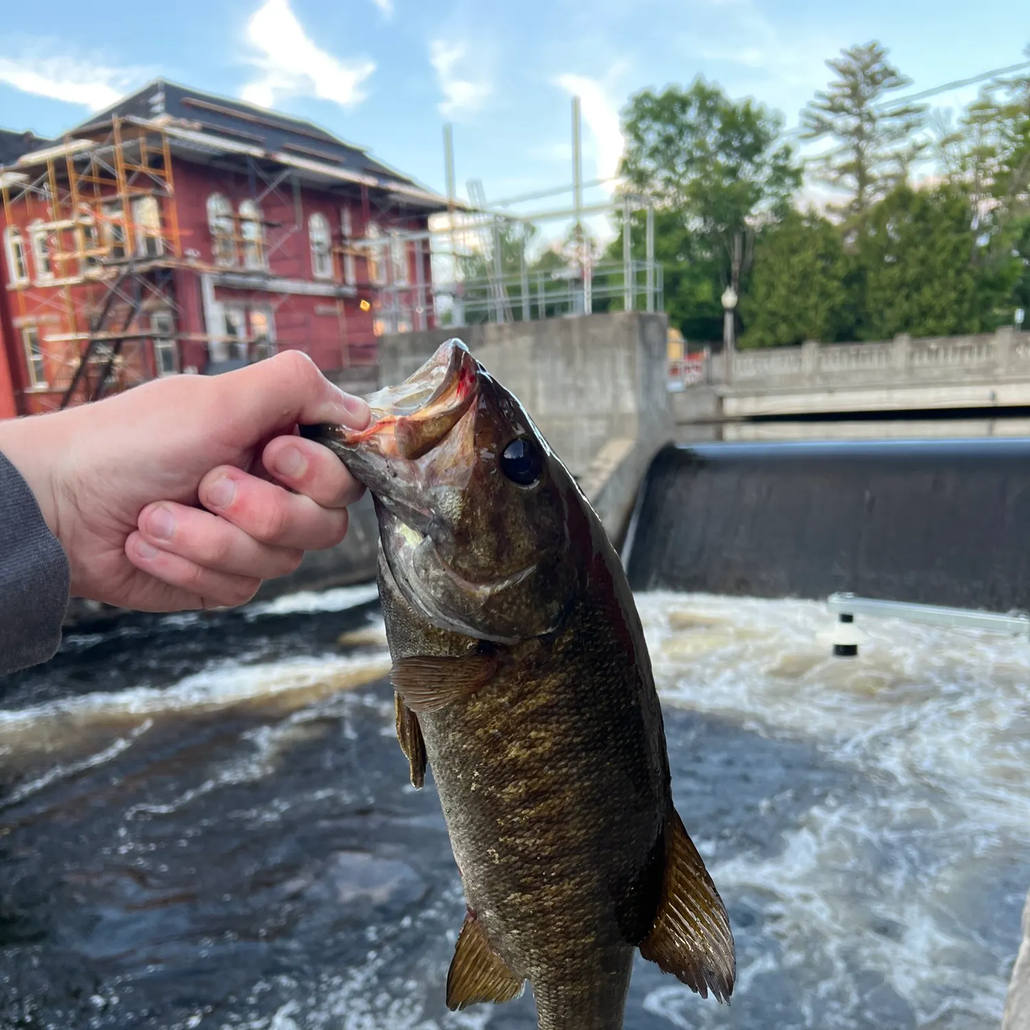 catch