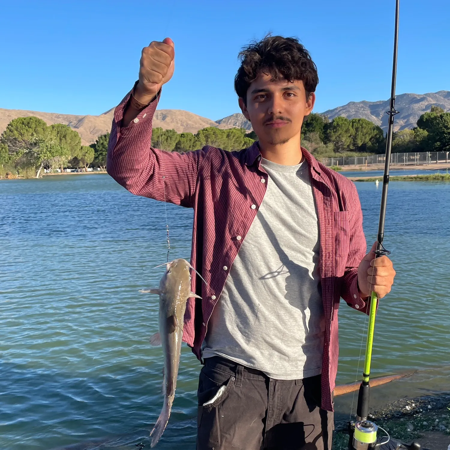 Channel catfish caught on Fishbrain