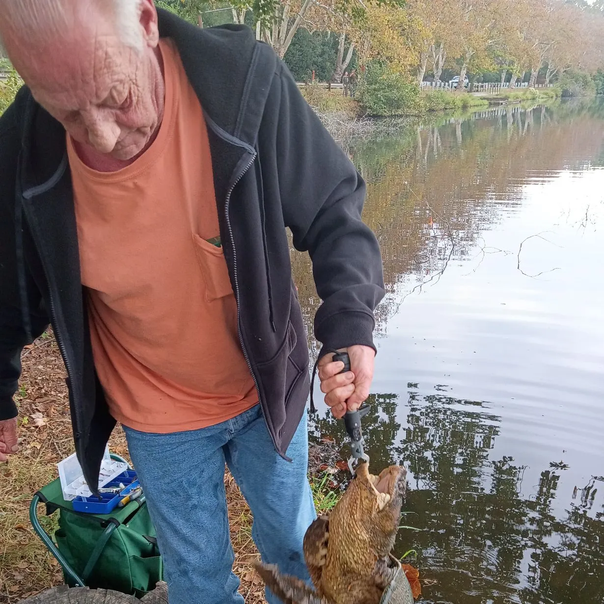 Common snapping turtle caught on Fishbrain