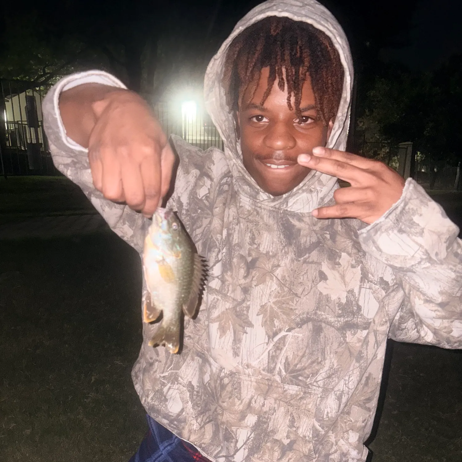 The most recent Bluegill catches on Fishbrain