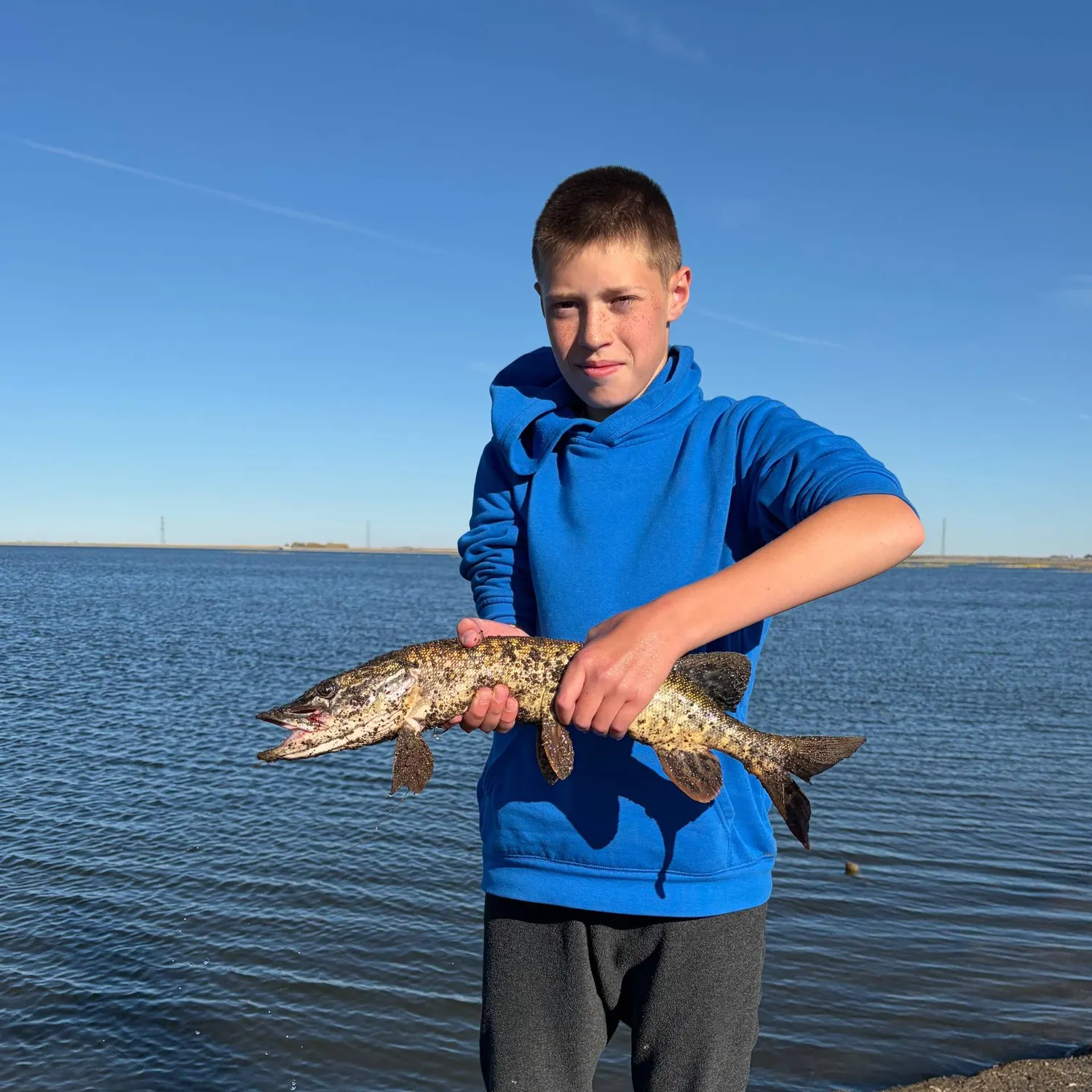 Northern pike caught on Fishbrain
