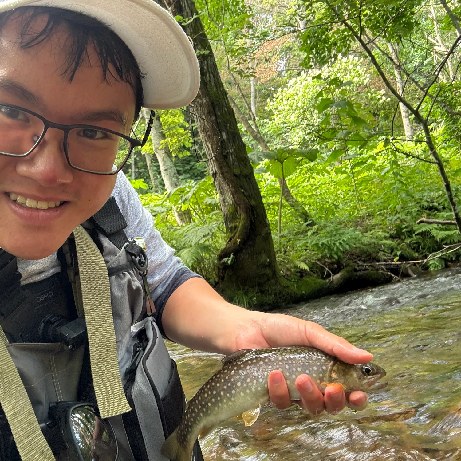 The most recent Whitespotted char catches on Fishbrain