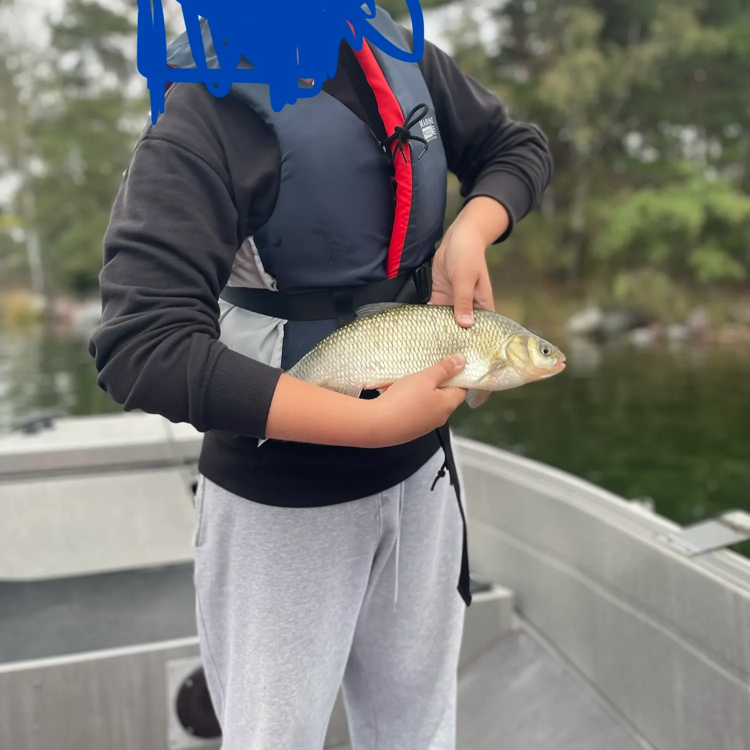 The most recent Ide catches on Fishbrain