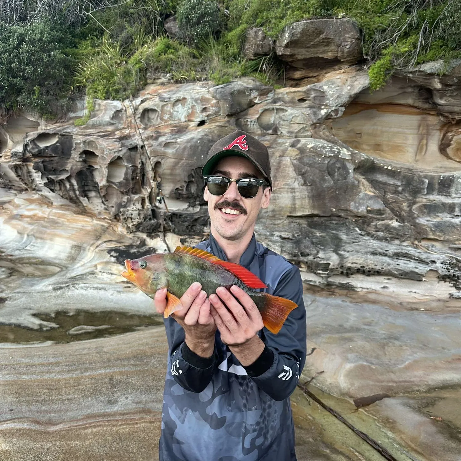 The most recent Crimsonband wrasse catches on Fishbrain