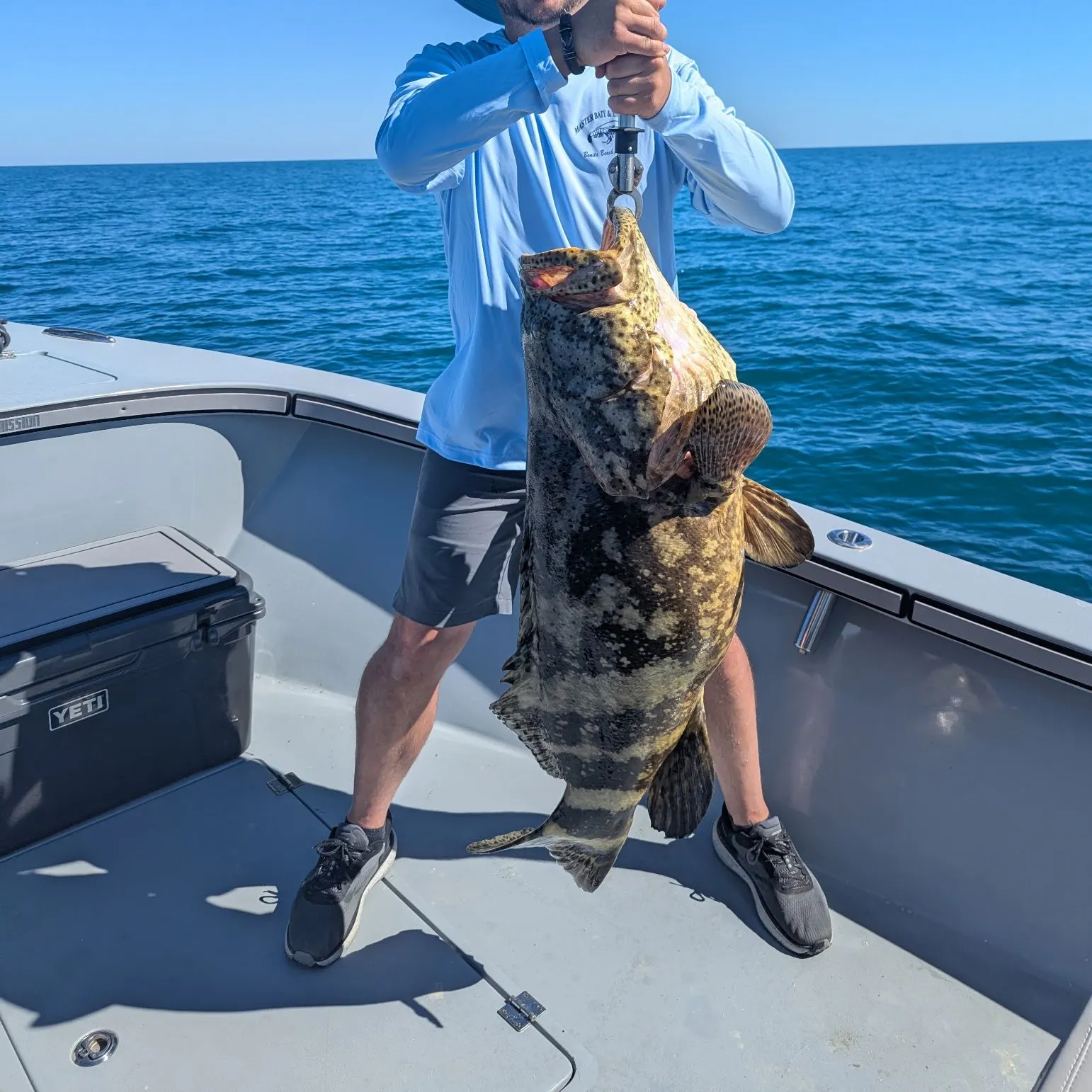 The most recent Atlantic goliath grouper catches on Fishbrain
