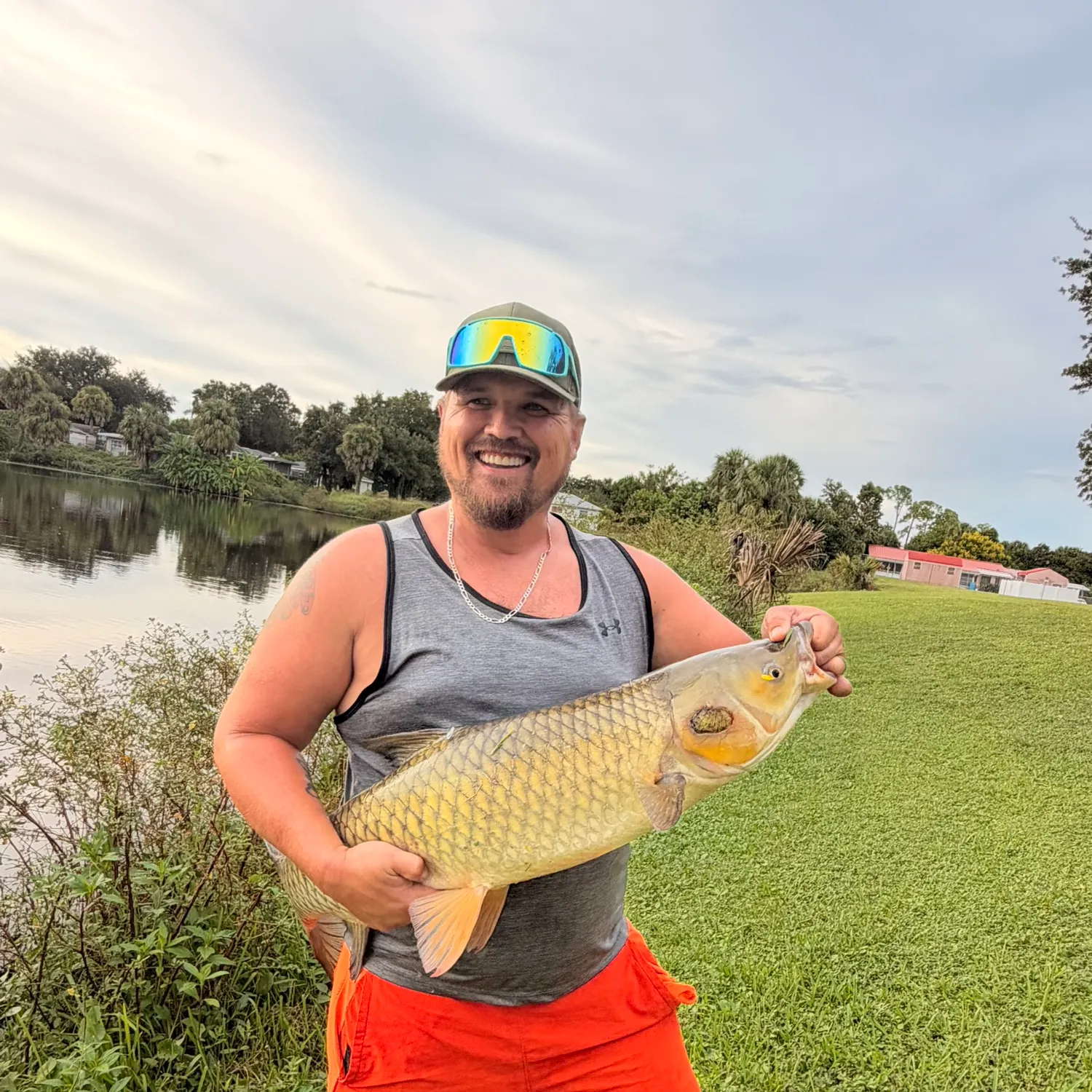 Common carp caught on Fishbrain