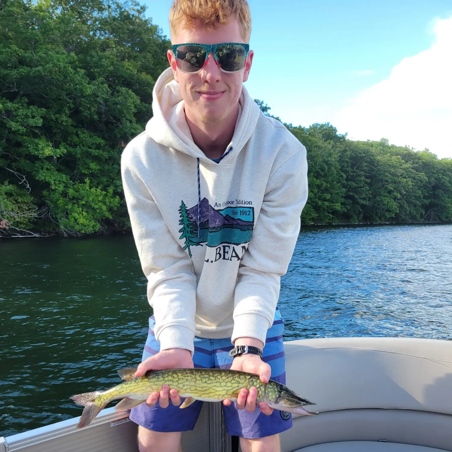 Chain pickerel caught on Fishbrain