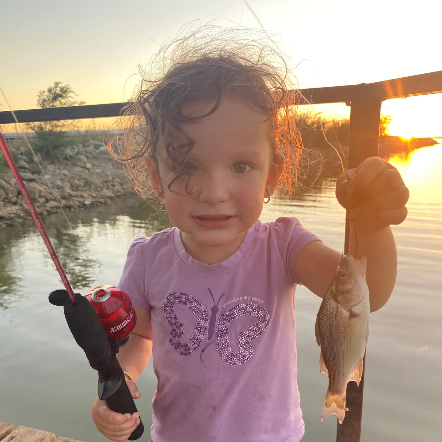 White bass caught on Fishbrain