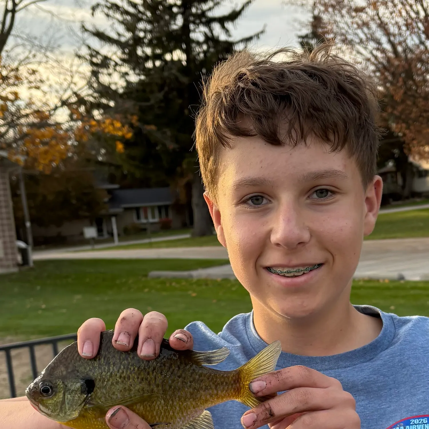 Bluegill caught on Fishbrain