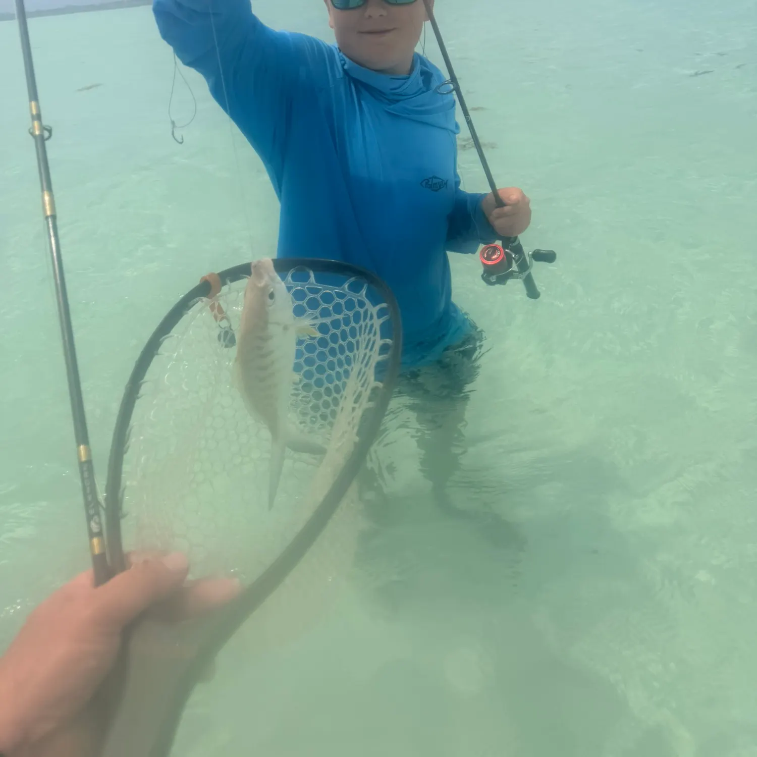 The most recent Horse-eye jack catches on Fishbrain