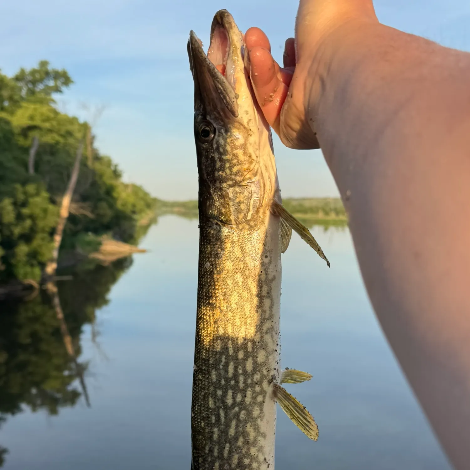 catch
