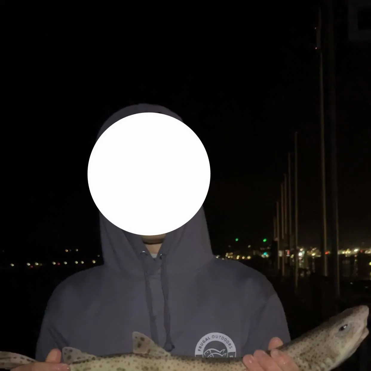 The most recent Lesser spotted dogfish catches on Fishbrain