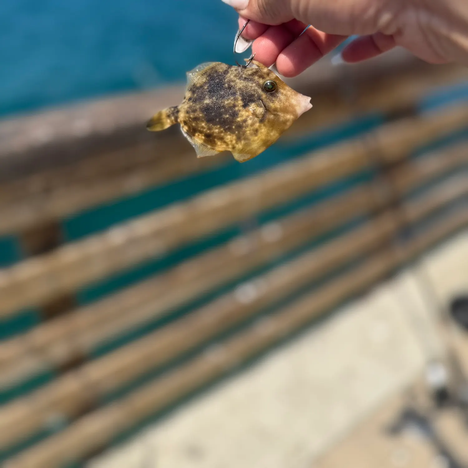 catch