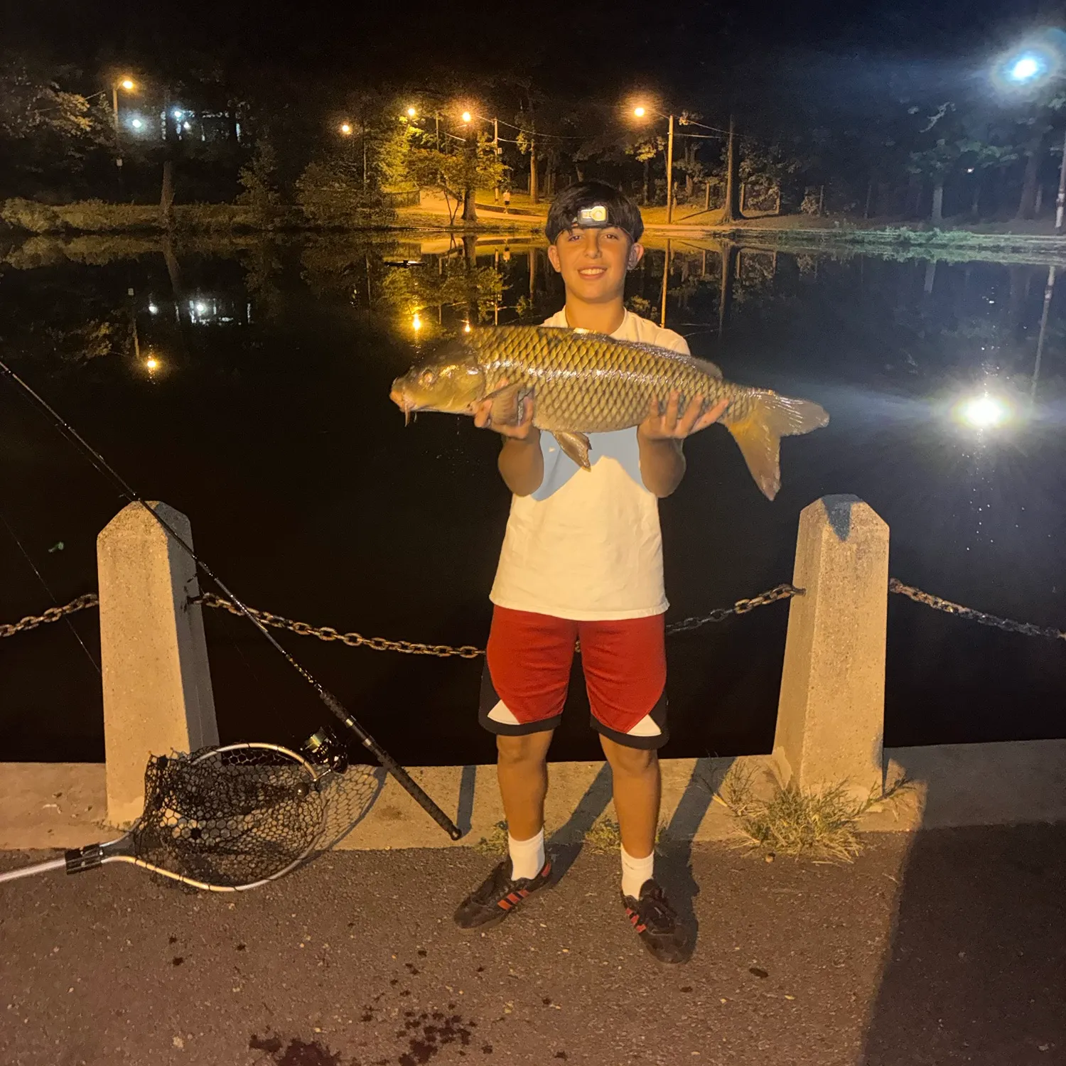 Common carp caught on Fishbrain