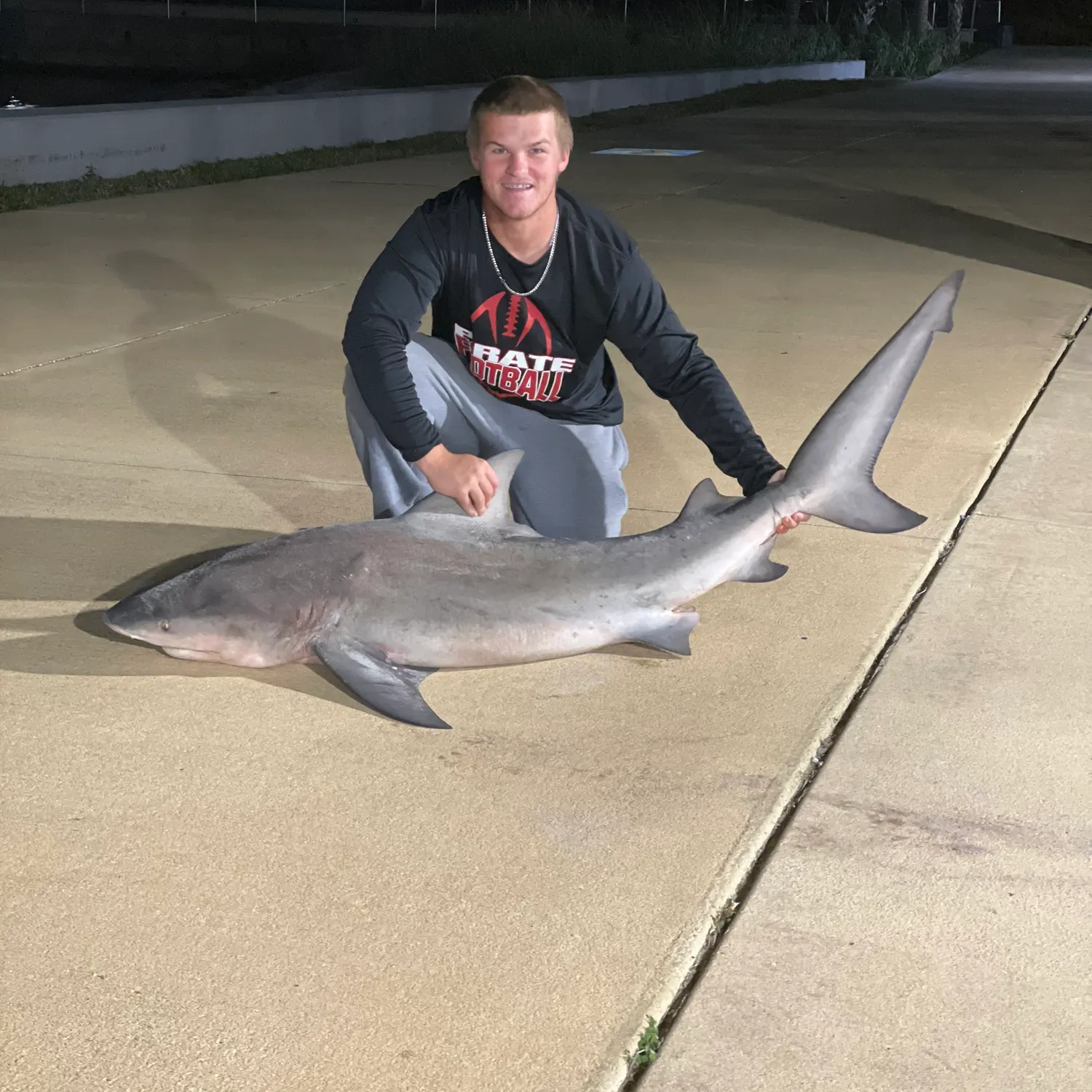 The most recent Bull shark catches on Fishbrain