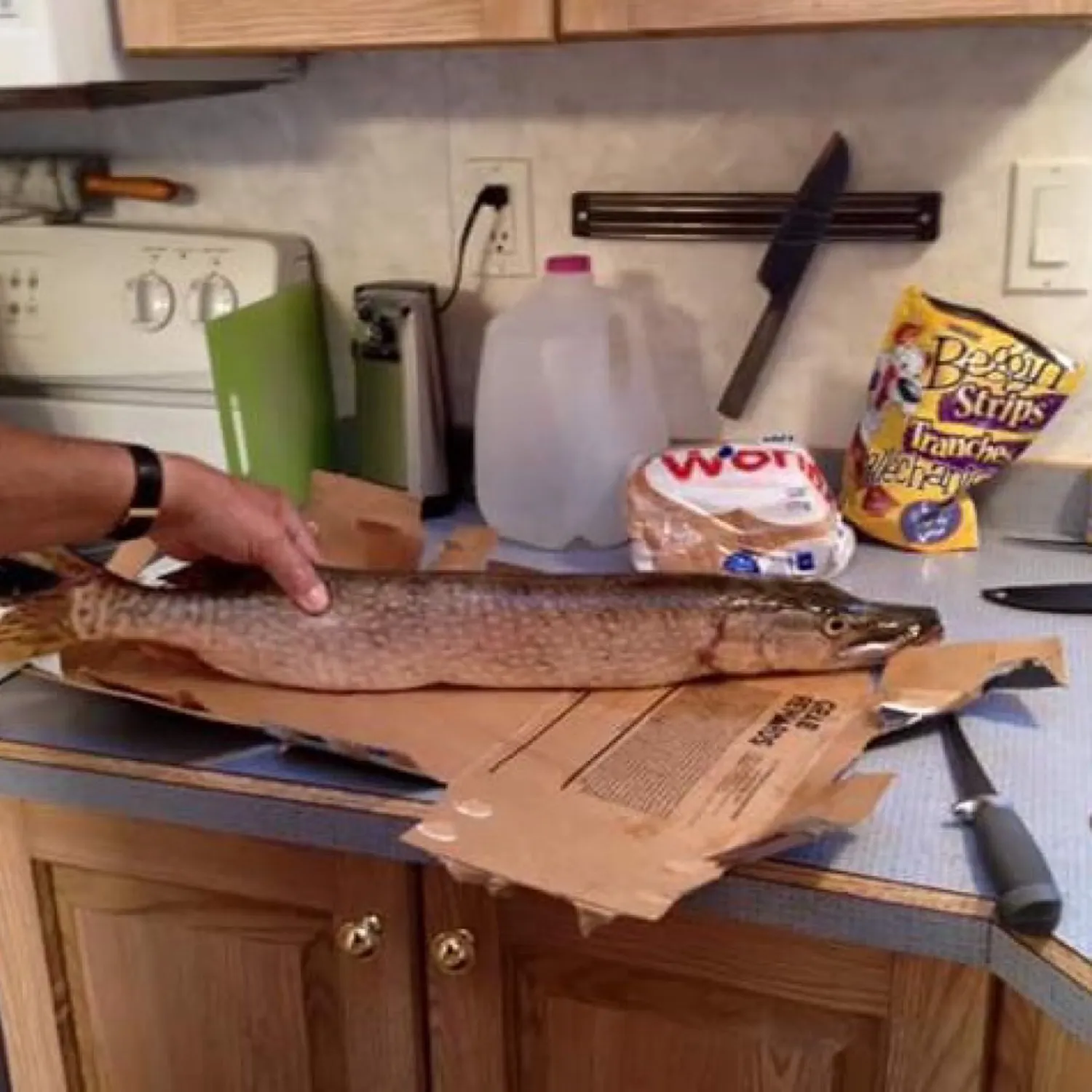 recently logged catches