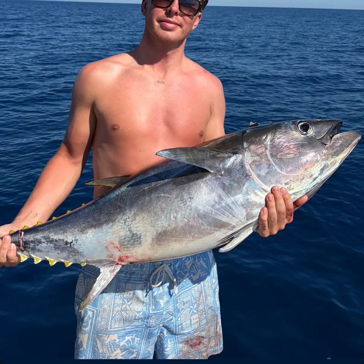 The most recent Pacific bluefin tuna catches on Fishbrain