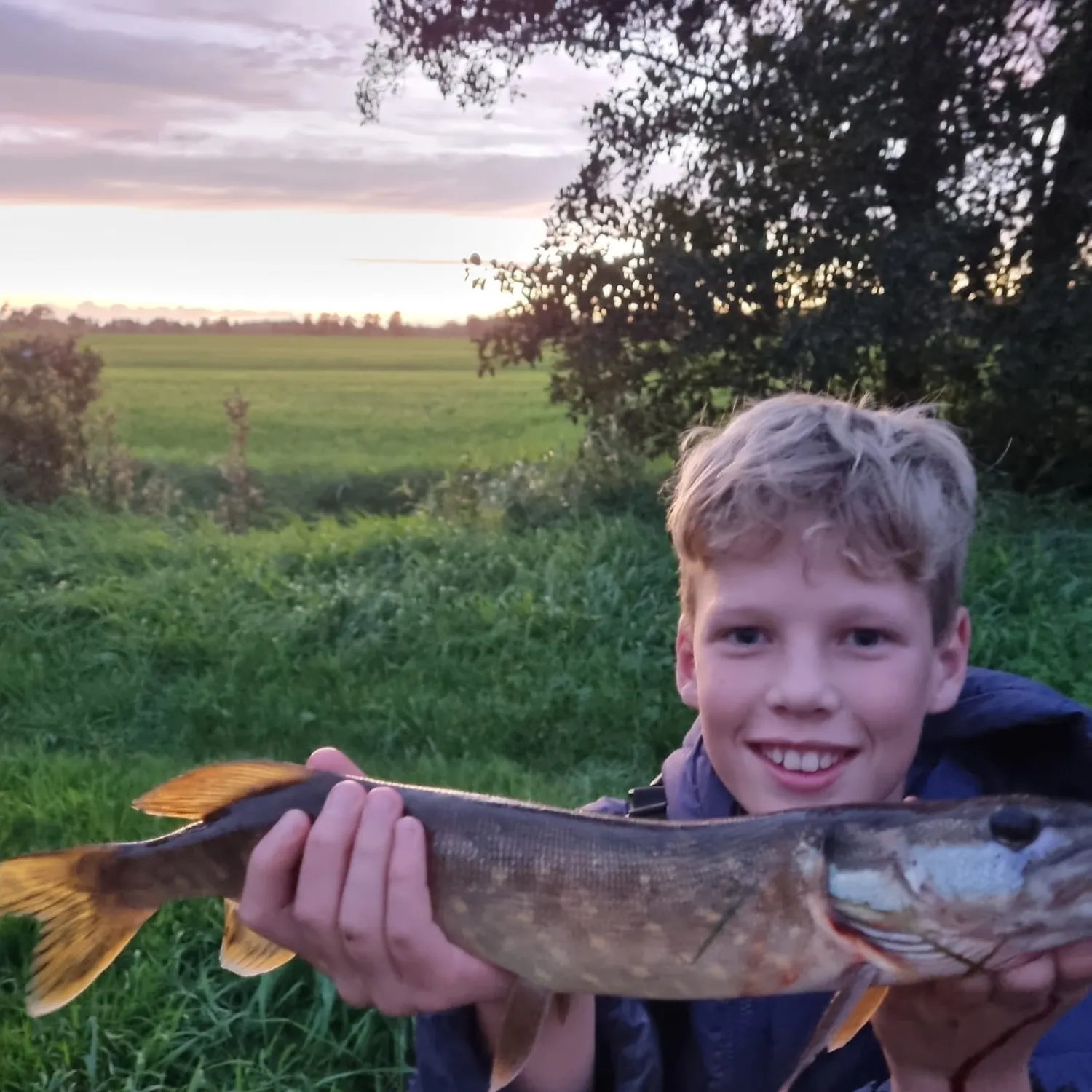 Northern pike caught on Fishbrain