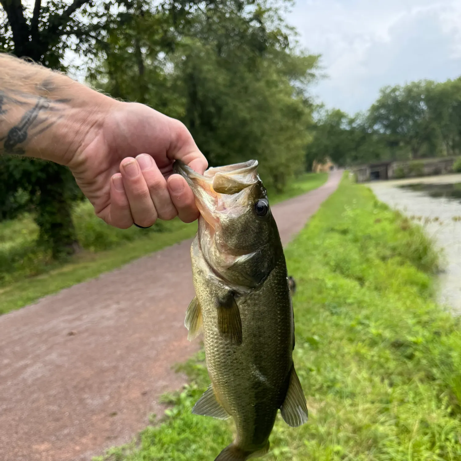 catch