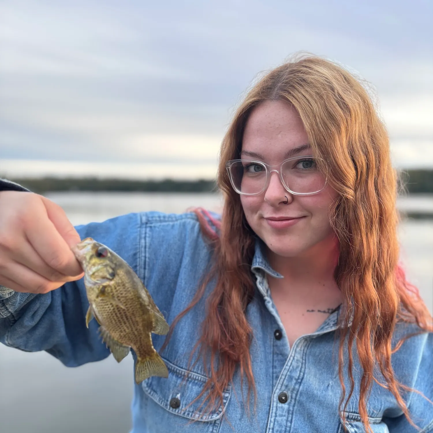 Rock bass caught on Fishbrain