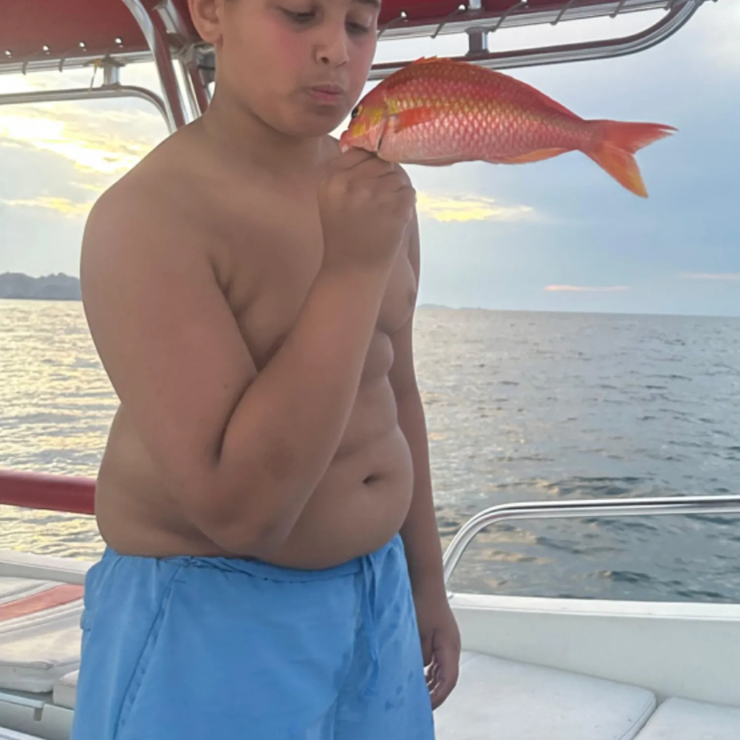 The most recent Mangrove red snapper catches on Fishbrain