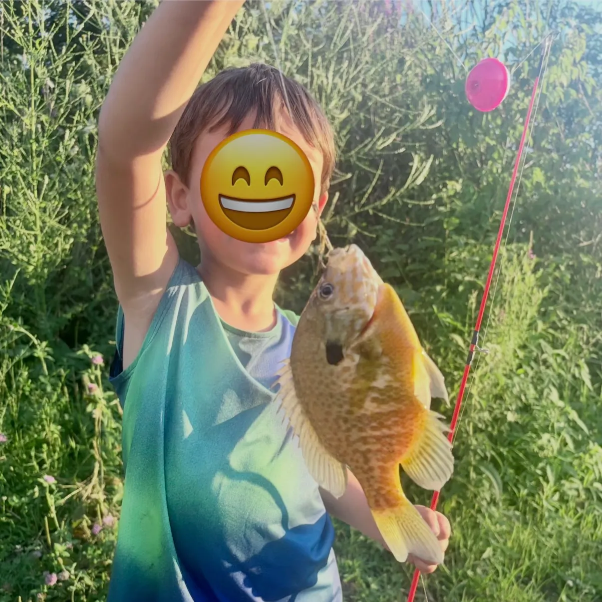 Pumpkinseed caught on Fishbrain