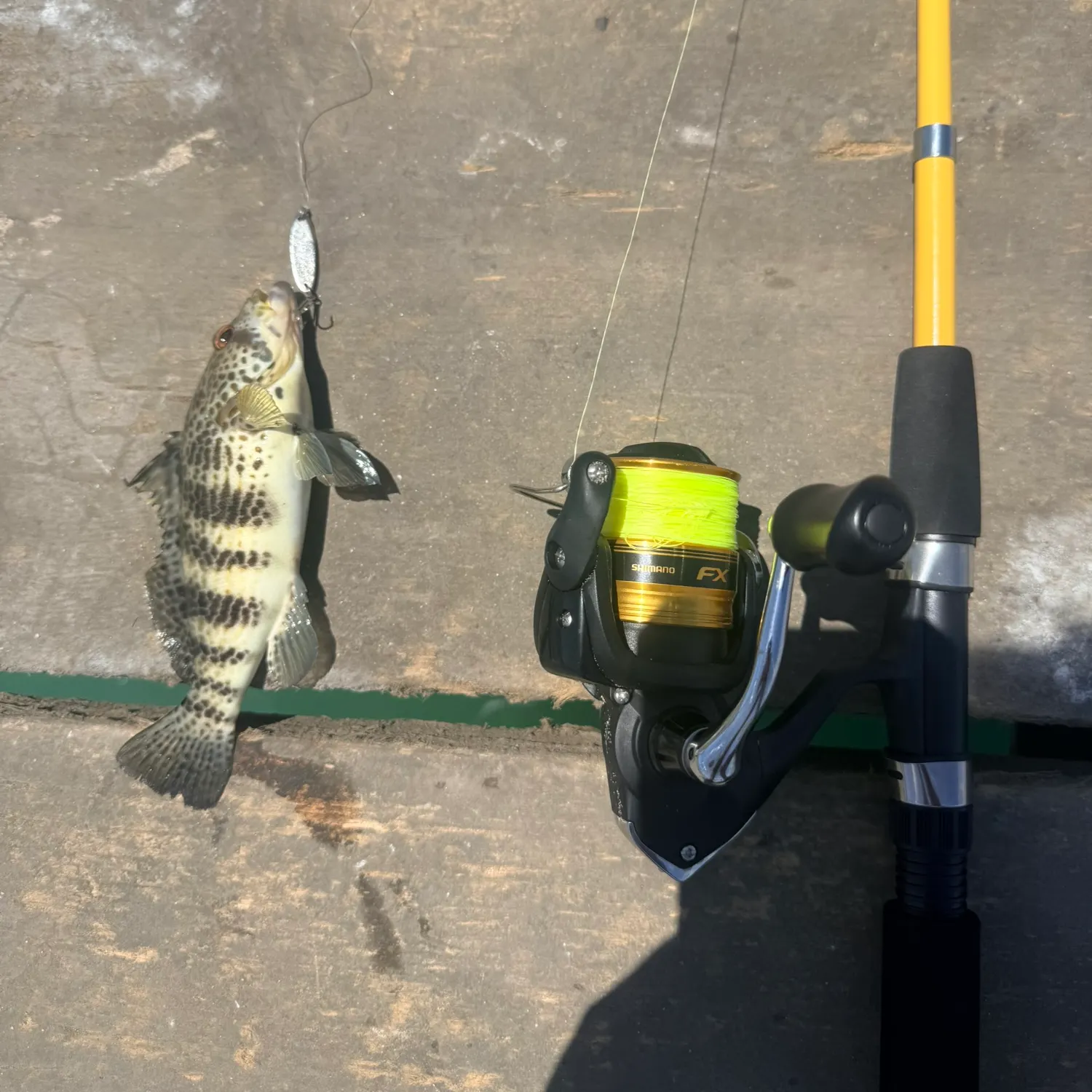 recently logged catches