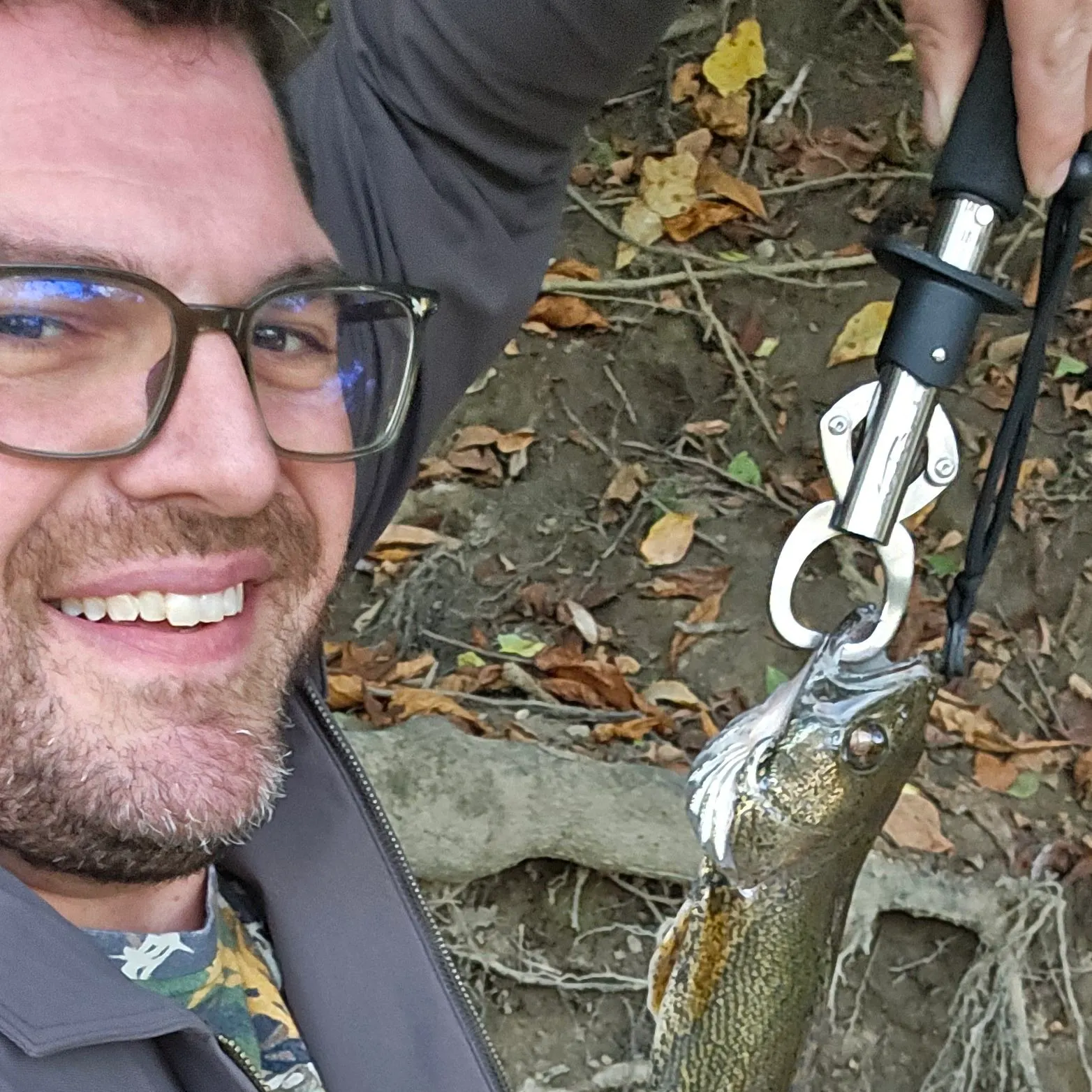 Saugeye caught on Fishbrain