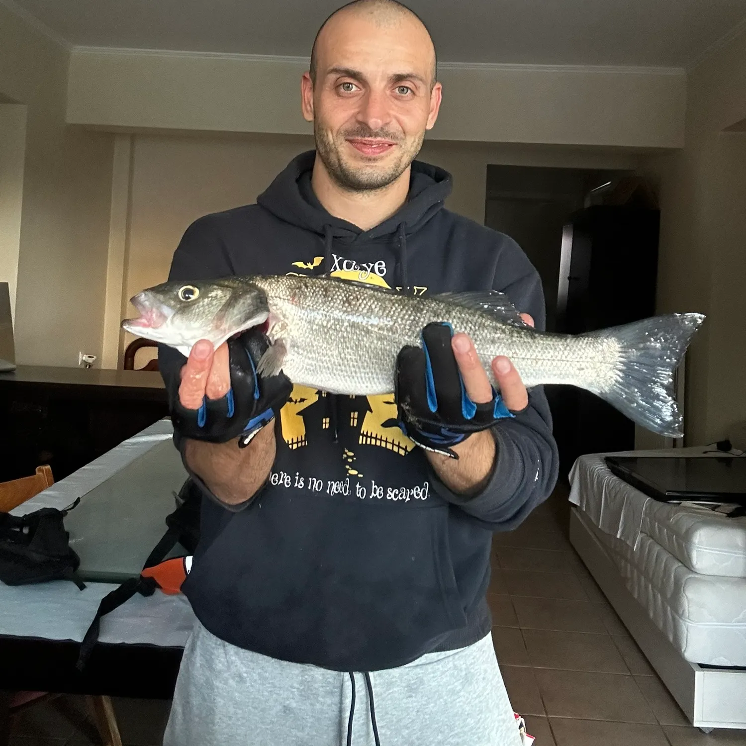 The most recent European seabass catches on Fishbrain