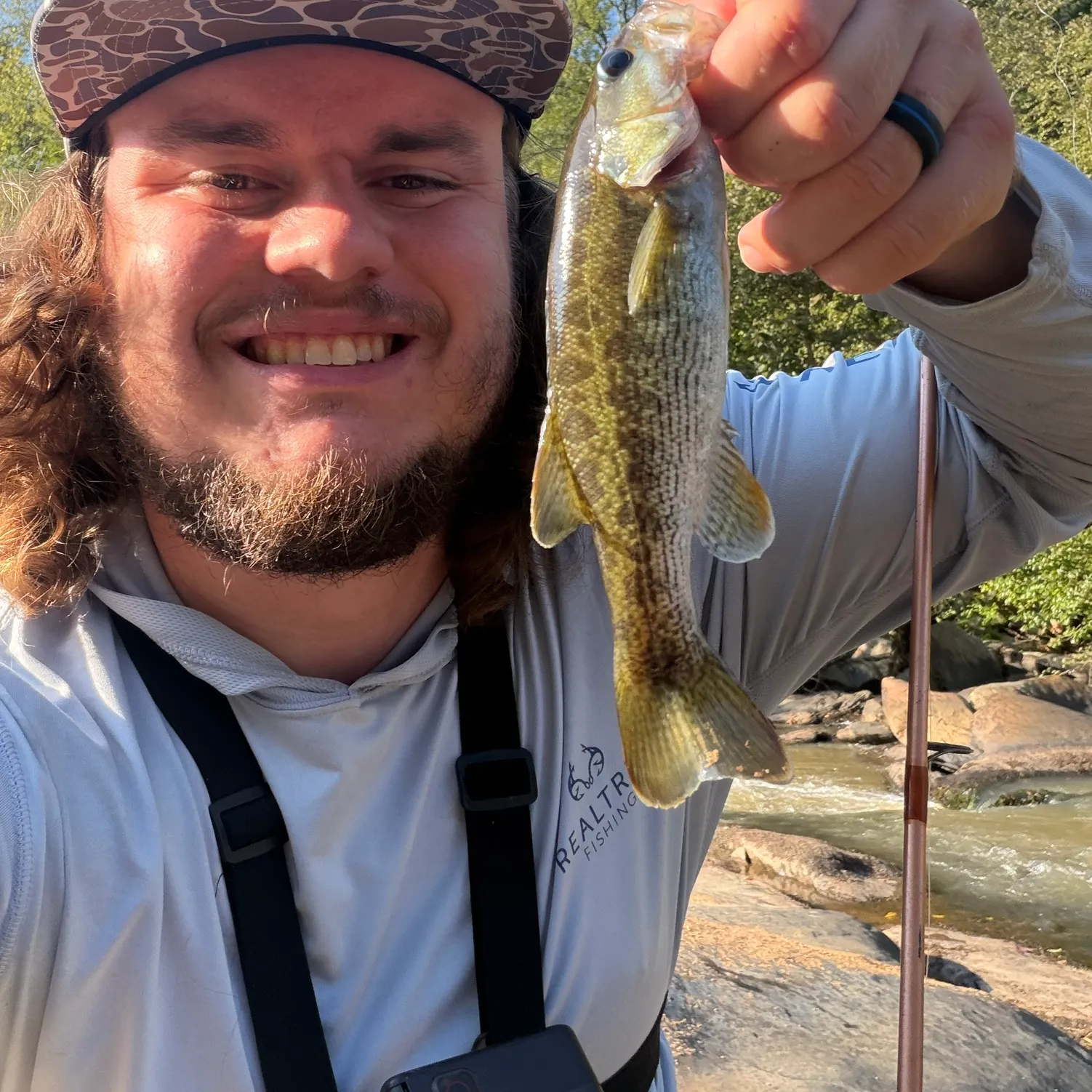 The most recent Altamaha bass catches on Fishbrain