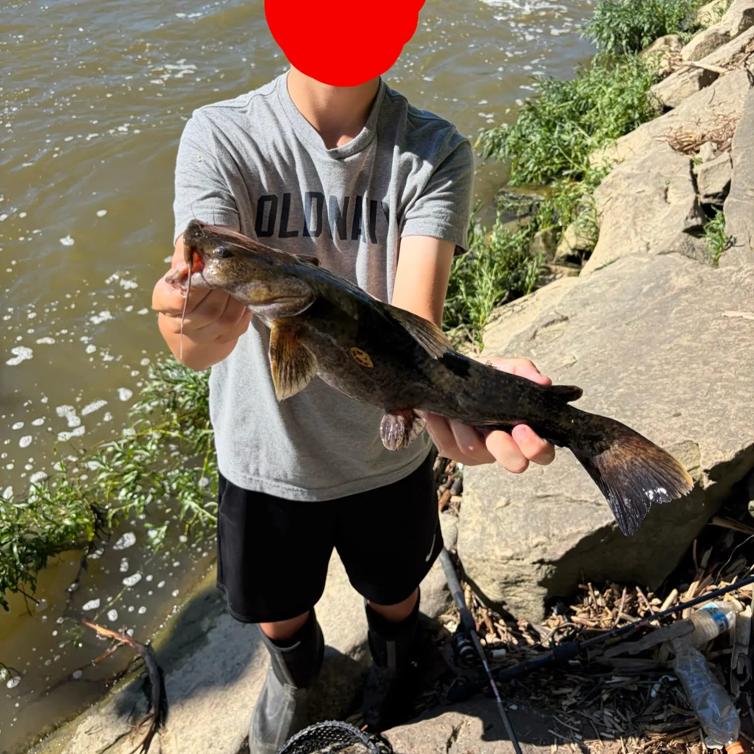 Flathead catfish caught on Fishbrain