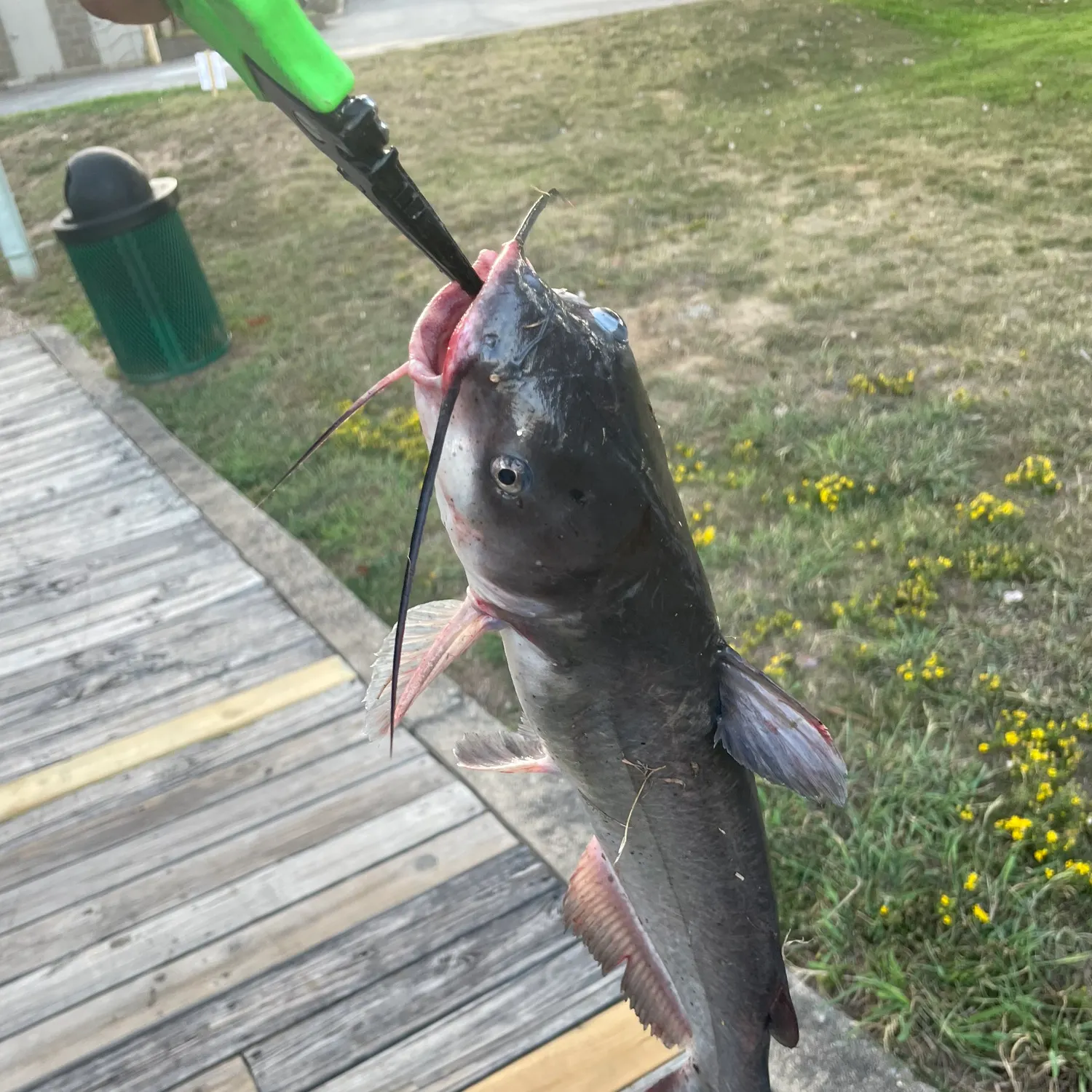 catch