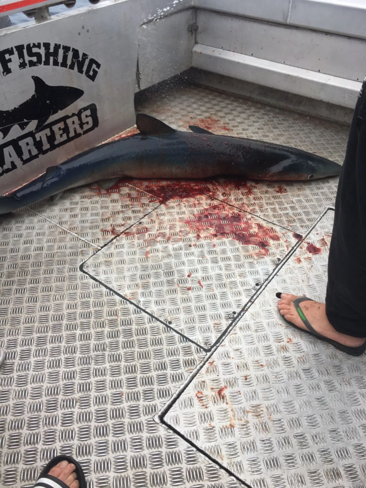 Post image from bthomas8619