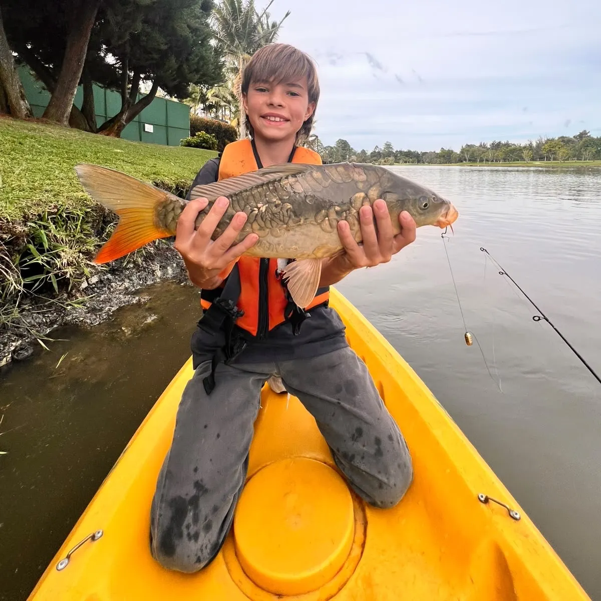 Mirror carp caught on Fishbrain
