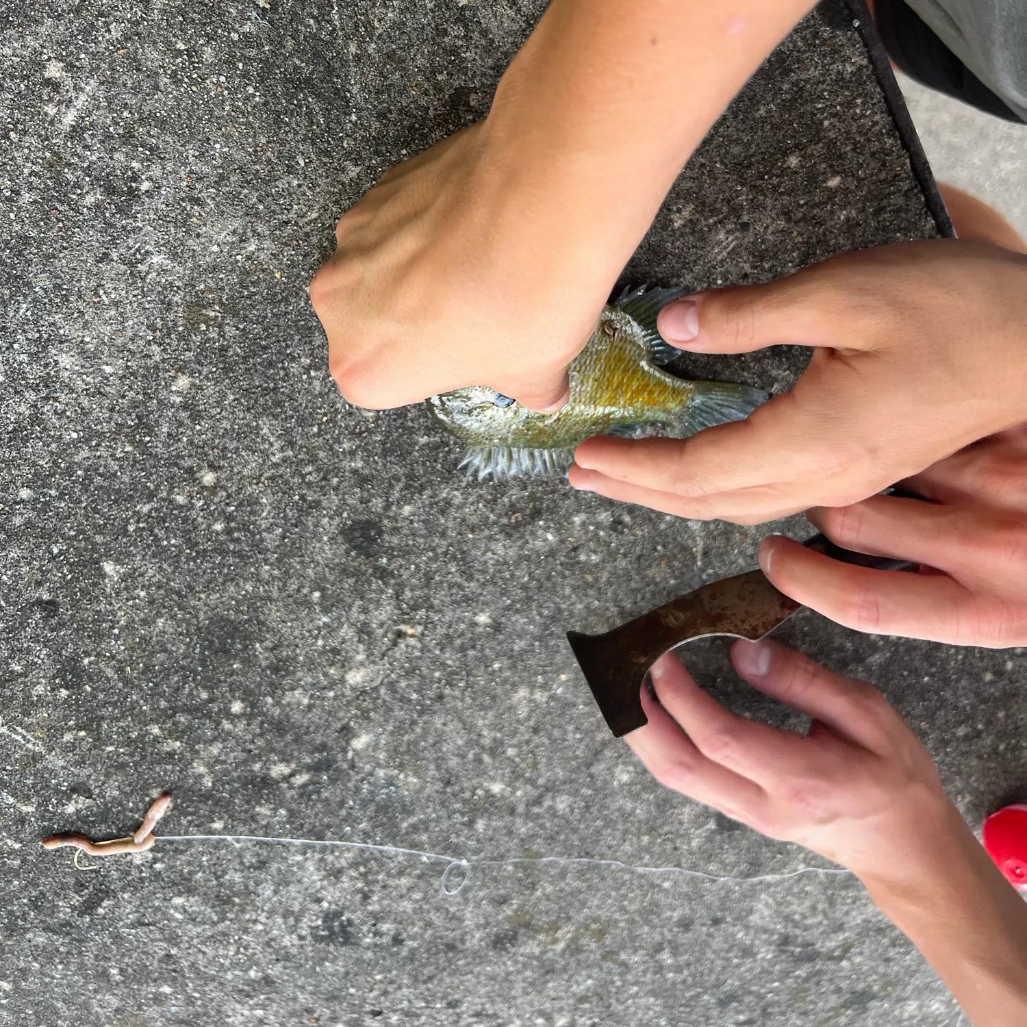 catch
