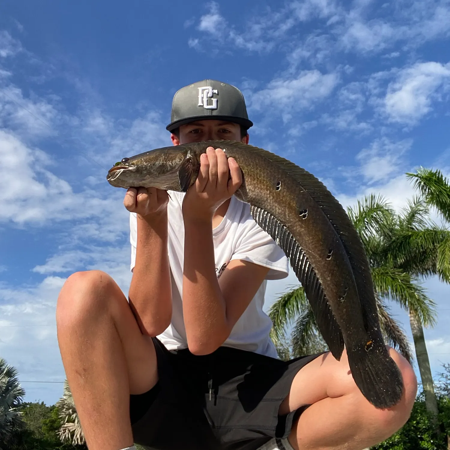 The most recent Bullseye snakehead catches on Fishbrain